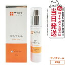 【限定セール】【人気ブランド美容液1本付 国内正規品】WOVE style ウォブスタイル GFアイクリーム 20g アイケア 目元用クリーム 送料無料