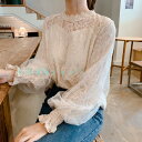 シースルー レース トップス レディース レースブラウス 長袖 カットソー 春 秋 白 花柄 刺繍 スカラップレース フリル袖 大きいサイズ シアートップス