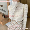 レースブラウス 長袖 レディース チュール シアートップス ボートネック シースルー オシャレ プルオーバー きれいめ 透けレース かわいい 透け感