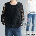 プルオーバー シャツ ブラウス トップス 長袖 レディース 綿 デザイントップス かわいい 刺繍 レース 通勤 OL 無地 ゆったり Tシャツ