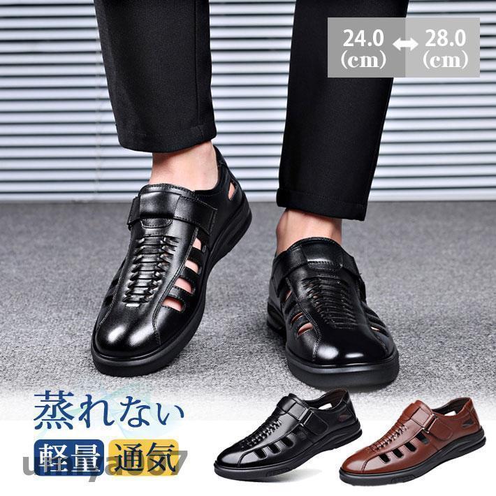 ӥͥ塼  ɥ饤ӥ󥰥塼 ܳ »η  å 奢 ̶ ȥɥ  ʤ   餫 ե