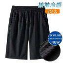 ショートパンツ メンズ ハーフパンツ 迷彩 5分丈 短パン 海パン 接触冷感 メッシュ カーゴ 大きいサイズ ゆったり ウェストゴム スポーツウェア