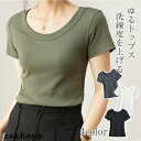 半袖 Tシャツ レディース トップス カットソー リブ デイリー 着痩せ 無地 大きいサイズ きれいめ 夏 ナチュラル おしゃれ 透けにくい おしゃれ