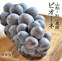 ピオーネ 種なし ぶどう 送料無料 3kg 5~6房 山梨 フルーツ ギフト 農園直送 秋山農園