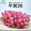 ぶどう 甲斐路 山梨産 送料無料 3kg 5~6房 贈答 敬老の日 ギフト お供え お彼岸 進物 快気祝い フルーツ 果物 くだもの 通販 秋山農園