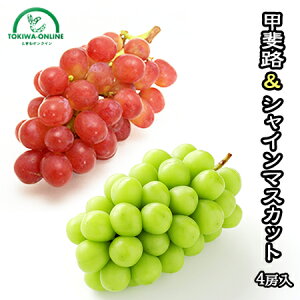 甲斐路 シャインマスカット 抱き合わせ 4房入り 約2kg 送料無料 種なし ぶどう 果物 皮ごと食べられる 山梨産 南アルプス産 果物 フルーツ 敬老の日 ギフト 農園直送 秋山農園