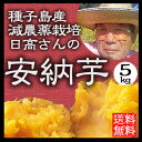 安納芋 (安納いも) 5kg 種子島 【送料無料】|減農薬|低農薬|蜜芋|安納紅|鹿児島|さつまいも|ギフト|日高農園|