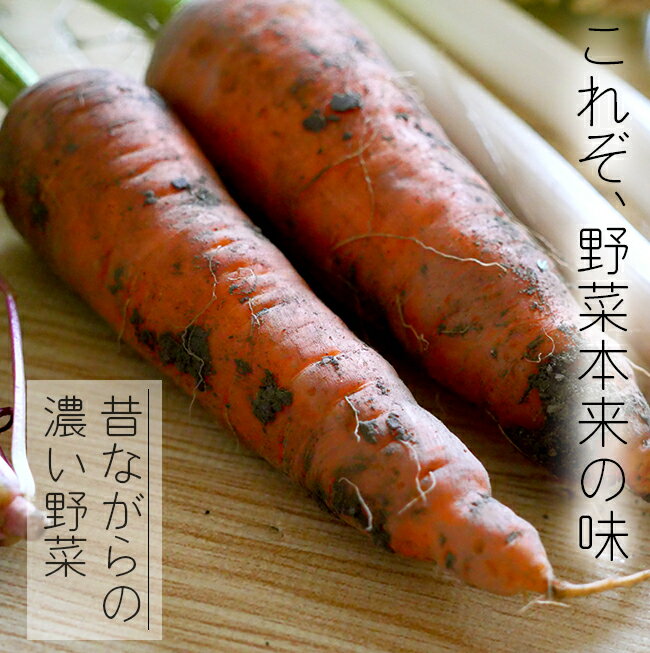 無農薬 野菜 農家直送 10品目 安心安全 有機野菜詰め合わせ 大阪 西日本 産地直送 笑ノ百姓 笑の百姓