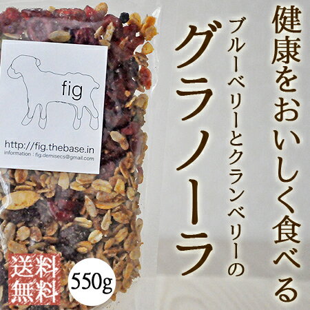 送料無料 ベリーベリーグラノーラ 無添加 オーガニック 素材使用 550g 自家製グラノーラ ギフト 内祝い 国産 ブルーベリー クランベリー ナッツ ドライフルーツ fig