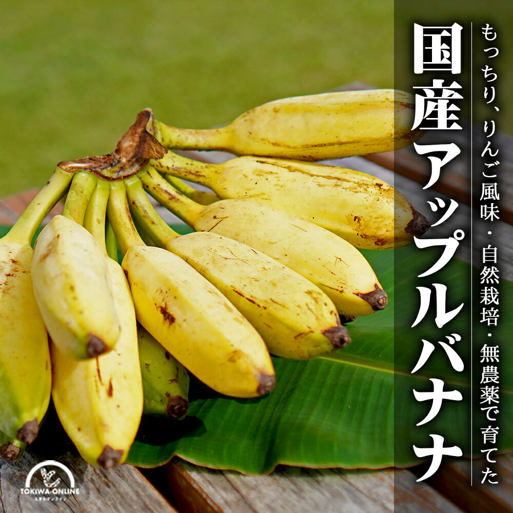 アップル バナナ 国産 無農薬 1kg 沖縄 果物 グリーンフロッグファーム うちなぁ自然栽培ファーマーズ