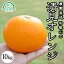 清見オレンジ 清見タンゴール みかん 10kg 送料無料 和歌山 産地直送 グリーンジャンクション