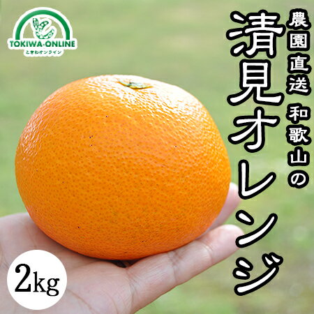 清見オレンジ 清見タンゴール みかん 2kg 送料無料 無農薬 和歌山 産地直送 グリーンジャンクション