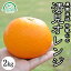 清見オレンジ 清見タンゴール みかん 2kg 送料無料 和歌山 産地直送 グリーンジャンクション