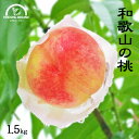 桃 お中元 桃 和歌山 ギフト 産地直送 1.5kg 御中元 贈り物 プレゼント 無農薬 農園直送 白鳳 日川白鳳 川中島白鳳 もも グリーンジャンクション