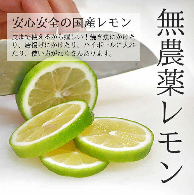 レモン 無農薬 国産 20kg 送料無料 業務用 グリーンレモン 青レモン ノーワックス 除草剤不使用 有機栽培 和歌山産 レモン水 レモン酢 塩レモン 産地直送 オーガニック グリーンジャンクション