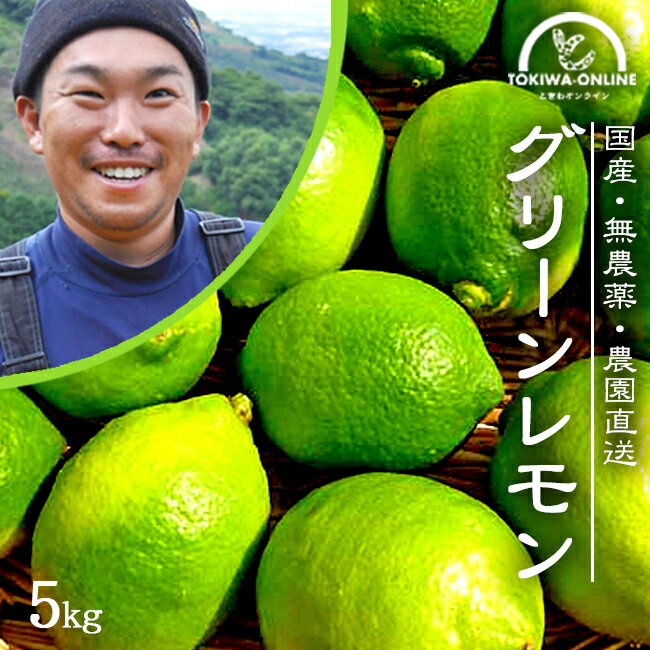 レモン 無農薬 国産 5kg 送料無料 グリーンレモン 青レモン ノーワックス 除草剤不使用 有機栽培 和歌山産 レモン水 レモン酢 塩レモン 産地直送 オーガニック グリーンジャンクション