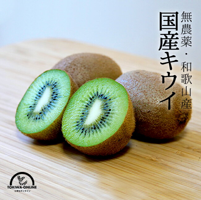 キウイ キウイフルーツ 無農薬 国産 送料無料 5kg 産地直送 和歌山産 ホルモン剤不使用 農園直送 有機栽培 オーガニック 農薬不使用 グリーンジャンクション