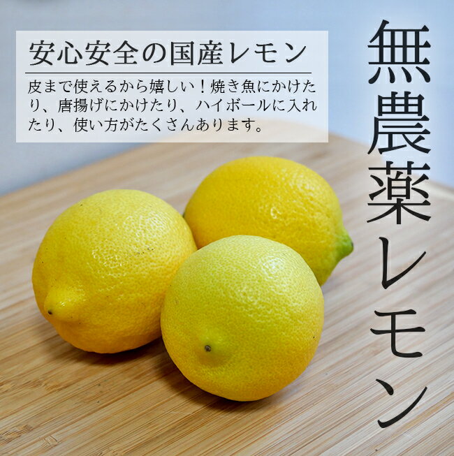 無農薬 レモン 国産 20kg 黄色レモン ノーワックス 送料無料 農家直送 和歌山 有機栽培 産地直送 オーガニック グリーンジャンクション
