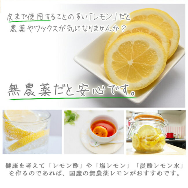 無農薬 レモン 国産 20kg 黄色レモン ノーワックス 送料無料 農家直送 和歌山 有機栽培 産地直送 オーガニック グリーンジャンクション