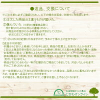 愛媛果試第28号紅マドンナ同品種のみかん訳あり送料無料5kgノーワックス農園直送愛媛産産地直送マルナカ農園