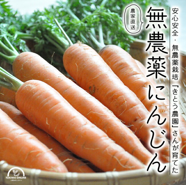 無農薬 にんじん 人参 人参 送料無料 3kg ニンジン 人参ジュース 西日本 静岡産 化学肥料不使用 通販 宅配 産地直送 農家直送 きとう農園のサムネイル