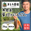 無農薬 にんじん 人参 葉付き人参 送料無料 3kg 無農薬ニンジン 西日本 葉付 静岡産 化学肥料不使用 通販 宅配 産地直送 農家直送