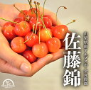 父の日 さくらんぼ 佐藤錦 L以上 送料無料 500g ギフト 農家直送 山梨 サクランボ 贈り物 贈答 ギフト 金丸農園