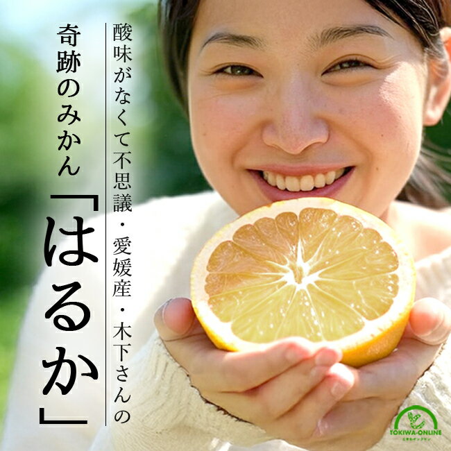 はるか 訳あり みかん 5kg 愛媛 減農薬 ワックス 防腐剤不使用 ...(4)