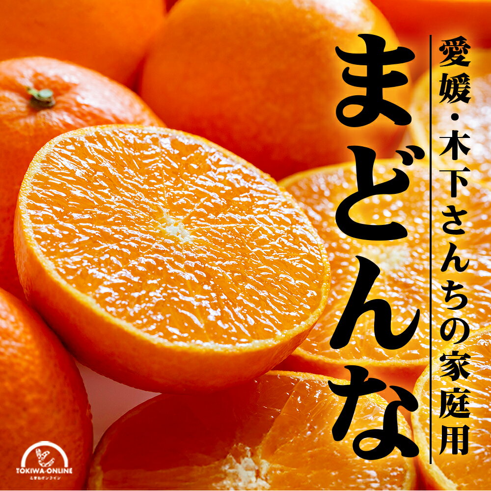 まどんな 家庭用 2.5kg 訳あり 愛媛 減農薬 ワックス 防腐剤不使用 柑橘 家庭用 箱買い 産地直送 農園直送 木下農園(4)