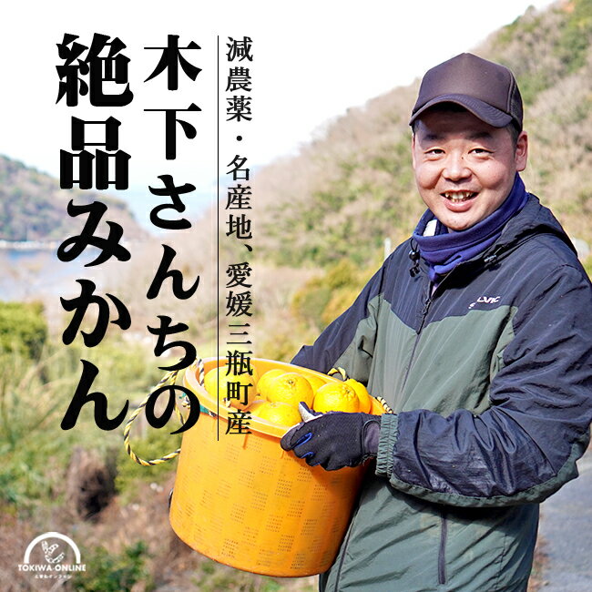 みかん 愛媛 家庭用 わけあり 5kg 減農薬 ワックス 防腐剤不使用 訳あり 柑橘 箱買い 産地直送 農園直送 木下農園(4)