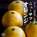 ニューサマーオレンジ 訳あり 10kg 愛媛 減農薬 ワックス 防腐剤不使用 柑橘 家庭用 箱買い 産地直送 農家直送 木下農園