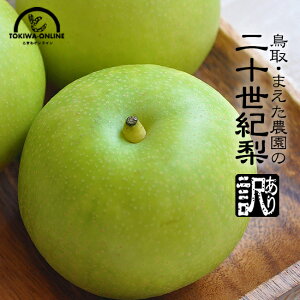 20世紀梨 訳あり 5kg 二十世紀梨 鳥取 送料無料 果物 鳥取県 梨 なし ナシ
