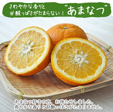 甘夏 あまなつ みかん 送料無料 3kg ムッキーちゃん プレゼント 愛媛 八幡浜 産地直送 農園直送 箱買い ノーワックス マルナカ農園