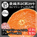 愛媛果試第28号 紅マドンナ 同品種のみかん 訳あり 送料無...