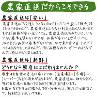 紅まどんなと同品種、愛媛果試第28号、送料無料訳あり