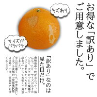 紅まどんなと同品種、愛媛果試第28号、送料無料訳あり