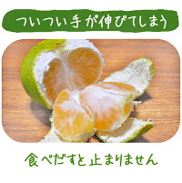 極早生みかん送料無料5kg【愛媛産】【極早生】【産地直送】|産地直送||バイオ農法|マルナカ農園