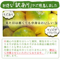 極早生みかん送料無料5kg【愛媛産】【極早生】【産地直送】|産地直送||バイオ農法|マルナカ農園