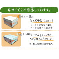 極早生みかん訳あり5kg送料無料愛媛県産箱買い農園直送産地直送みかん訳ありバイオ農法マルナカ農園