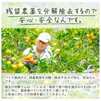 極早生みかん訳あり5kg送料無料愛媛県産箱買い農園直送産地直送みかん訳ありバイオ農法マルナカ農園