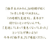 極早生みかん訳あり5kg送料無料愛媛県産箱買い農園直送産地直送みかん訳ありバイオ農法マルナカ農園