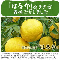 はるか