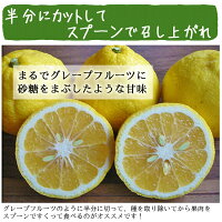 はるか