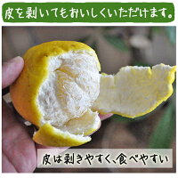 はるか