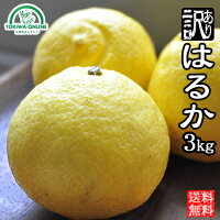 はるか