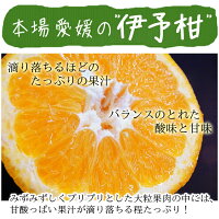 いよかん(伊予柑)