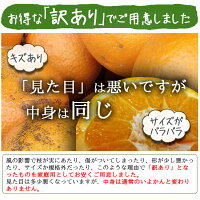 いよかん訳あり5kg送料無料愛媛伊予柑伊予かん産地直送合格祈願マルナカ農園