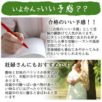 いよかん訳あり5kg送料無料愛媛伊予柑伊予かん産地直送合格祈願マルナカ農園