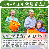 いよかん訳あり5kg送料無料愛媛伊予柑伊予かん産地直送合格祈願マルナカ農園