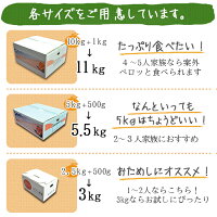 甘平訳あり3kg送料無料訳ありみかん愛媛家庭用農園直送産地直送マルナカ農園